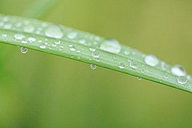 《艾诺提亚：失落之歌》开发商确认正与微软紧密合作